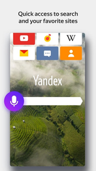 Yandex Browser with Protect Screenshot 1