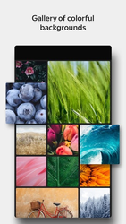 Yandex Browser with Protect Screenshot 3