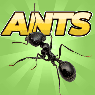 Pocket Ants: Colony Simulator Icon Pocket Ants: Colony Simulator Icon